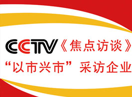中央電視臺(tái)《焦點(diǎn)訪談》-以市興市訪問(wèn)企業(yè)